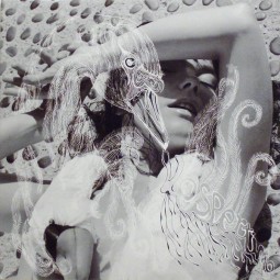 Vespertine Björk
